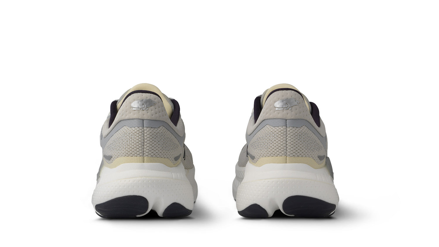 WOMEN'S MESTARI RUN 2.0 HIVO - ANTARCTICA / BLUE FOX