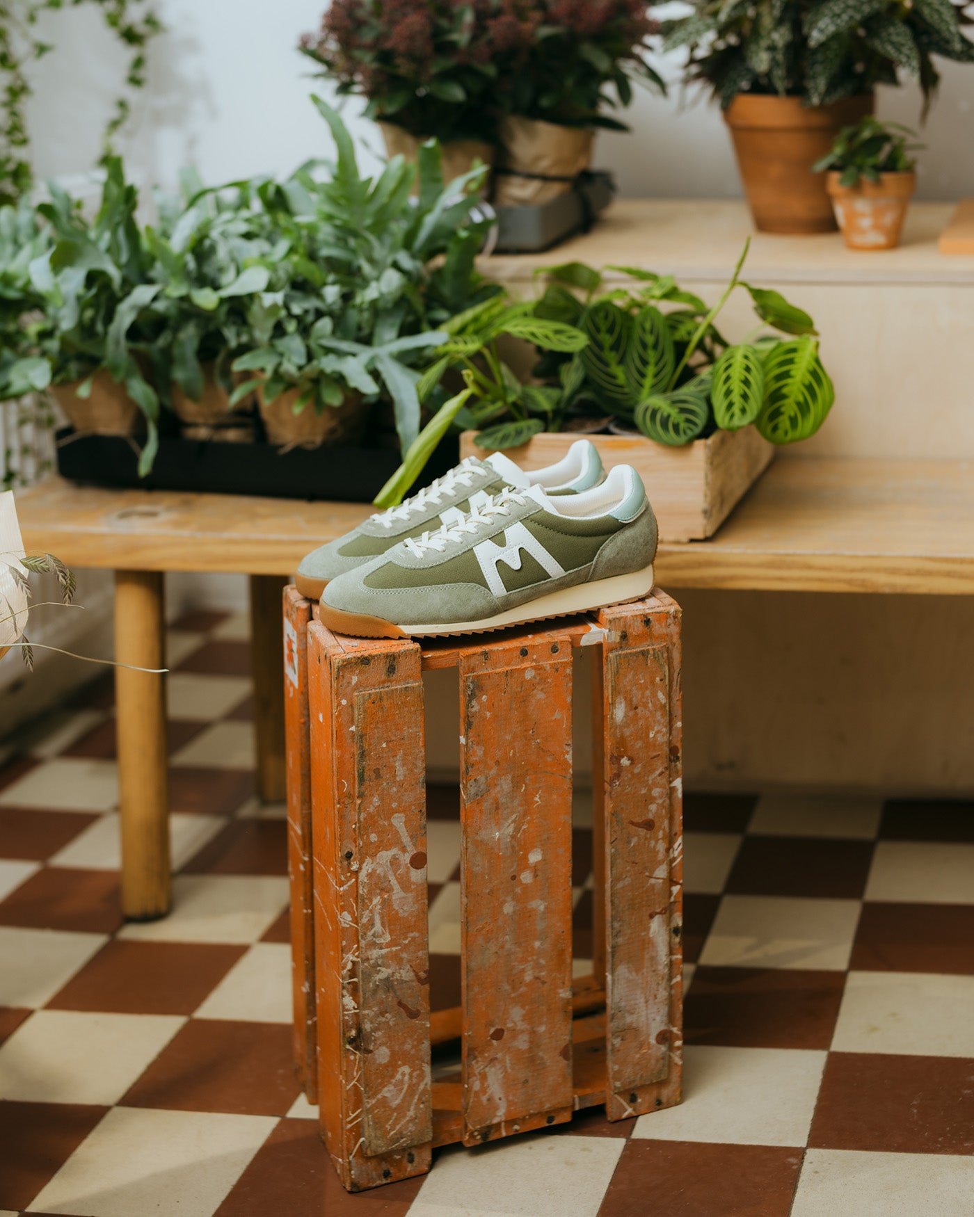 MESTARI 76 - TEA / LICHEN