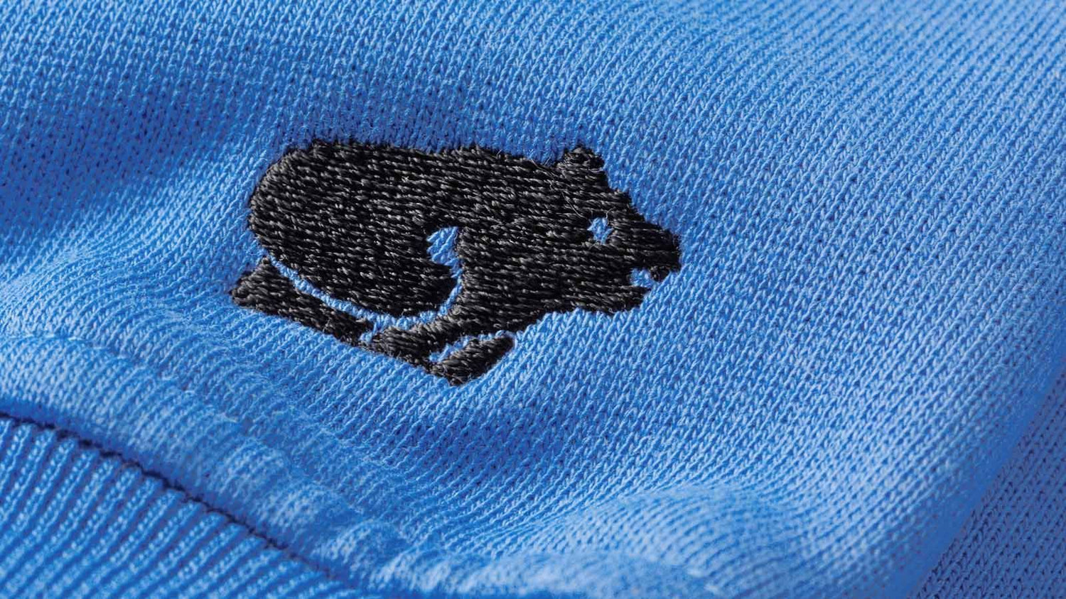 Sport Bear Logo Sweatshirt Marina/Jet Black details